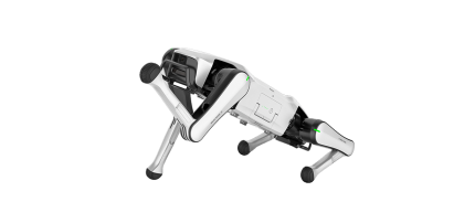 Rover X1 — Your First Robot Dog